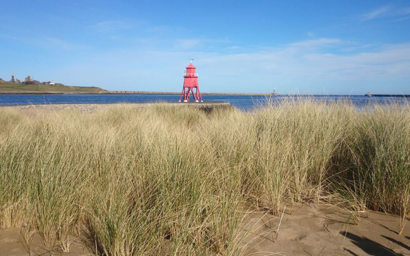 Little-Haven-Hotel-Beach