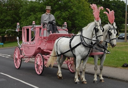 Cook’s-Carriages Cook’s-Carriages