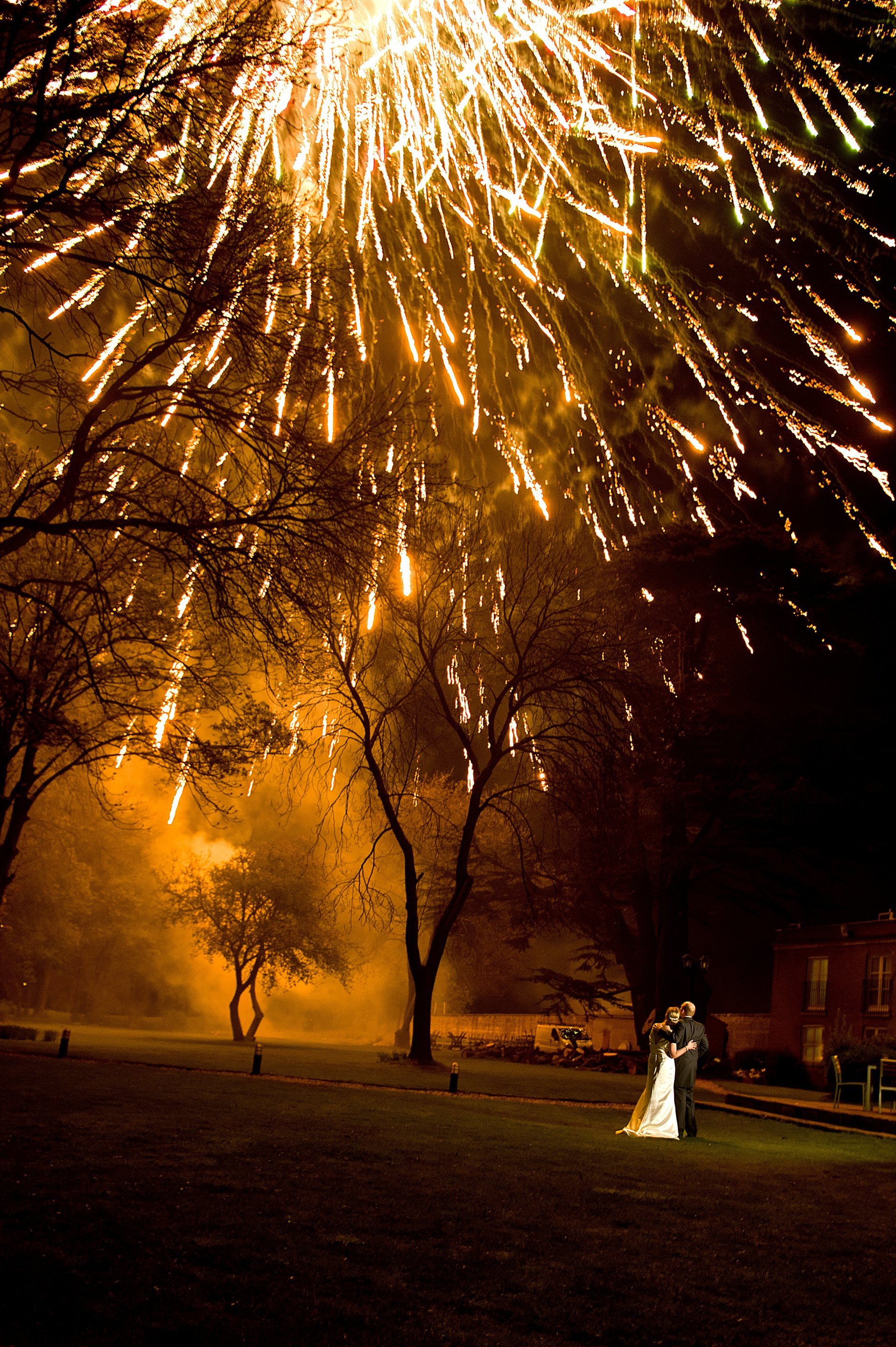 Normanton Park Firworks