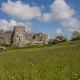 FireShot Capture 154 Carew Castle Wedding Venue in Pembrokeshire The Wedding Directory Carew Castle View across meadow 1 260x260