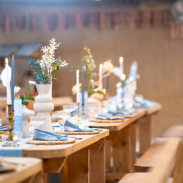 The Shed MWNT Wedding Venue Ceredigion 260x260