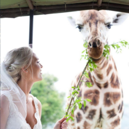 Port Lympne Weddings