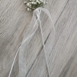 IMG 20230227 131136 260x260