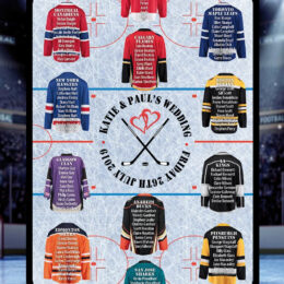 ice hockey seating plan 260x260