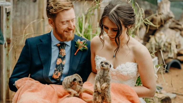 Unique Wedding Venue in Devon 1 768x432