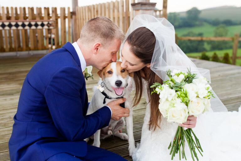 pet wedding photography wiltshire 768x512