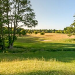 hamptworthgolf wedding venue new forest 260x260