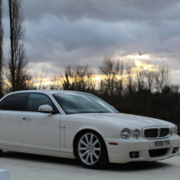 jaguar 260x260