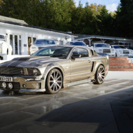 mustang 260x260