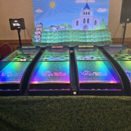 Roll a Ball Wedding 1 260x260