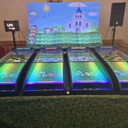 Roll a Ball Wedding 2 1 260x260