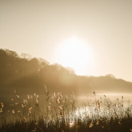 The Boathouse weddings by Luis Holden 04 1 260x260