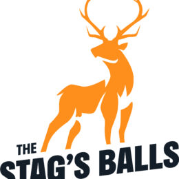 StagsBalls NavyText 260x260