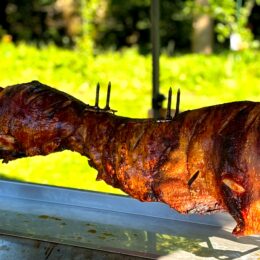 Spit Pig1 260x260