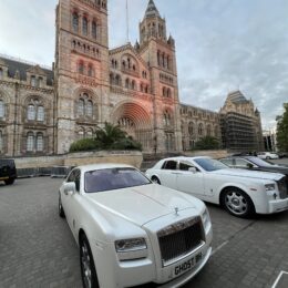 IMG 2729 260x260