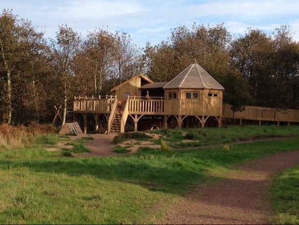 autumn treehouse 1