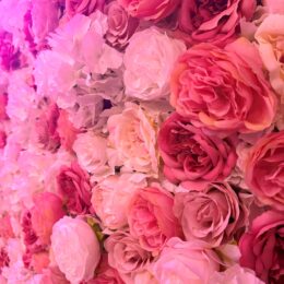 Blushing Blossom Floral Wall 4 260x260