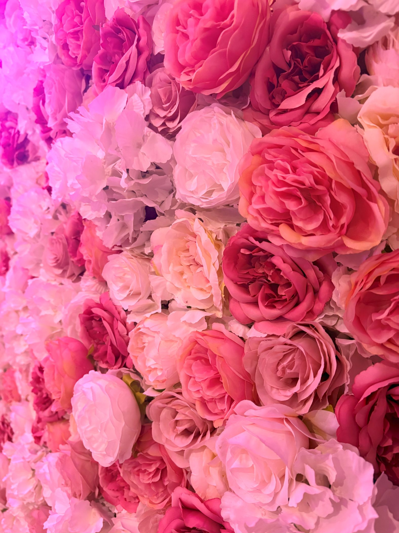 Blushing Blossom Floral Wall 4