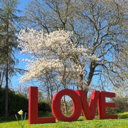 Edge LED LOVE Letters 260x260