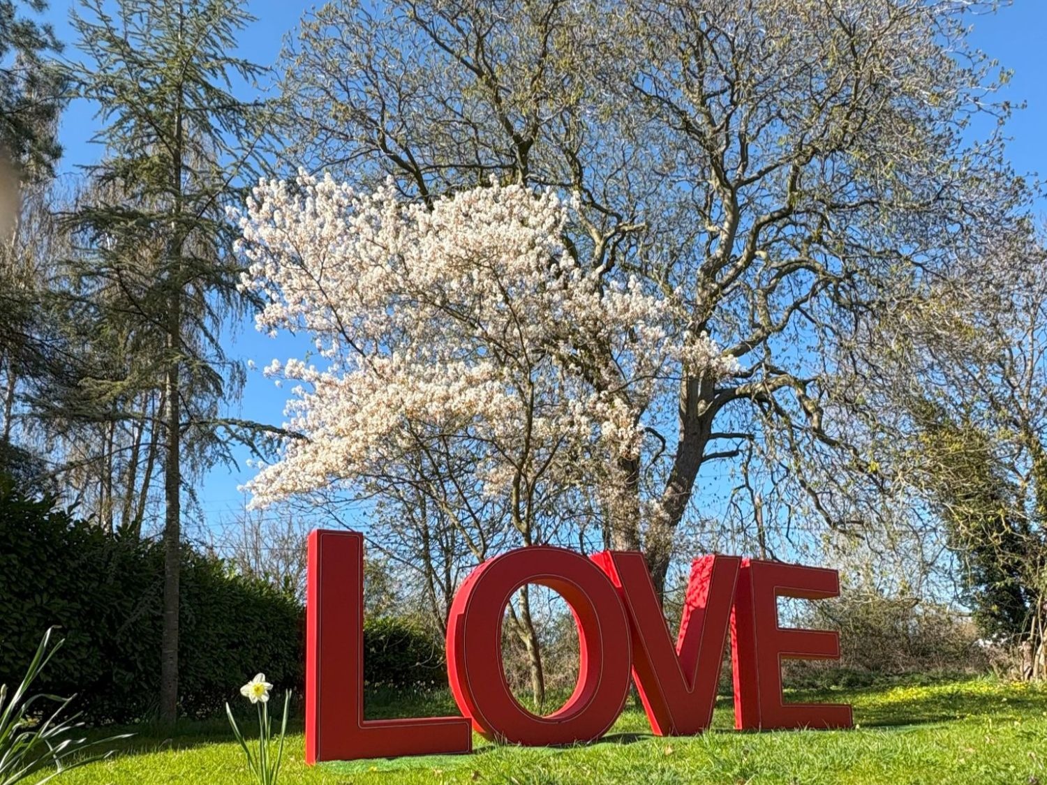 Edge LED LOVE Letters