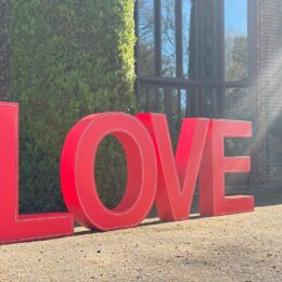 Williams and Rose wedding neon signs