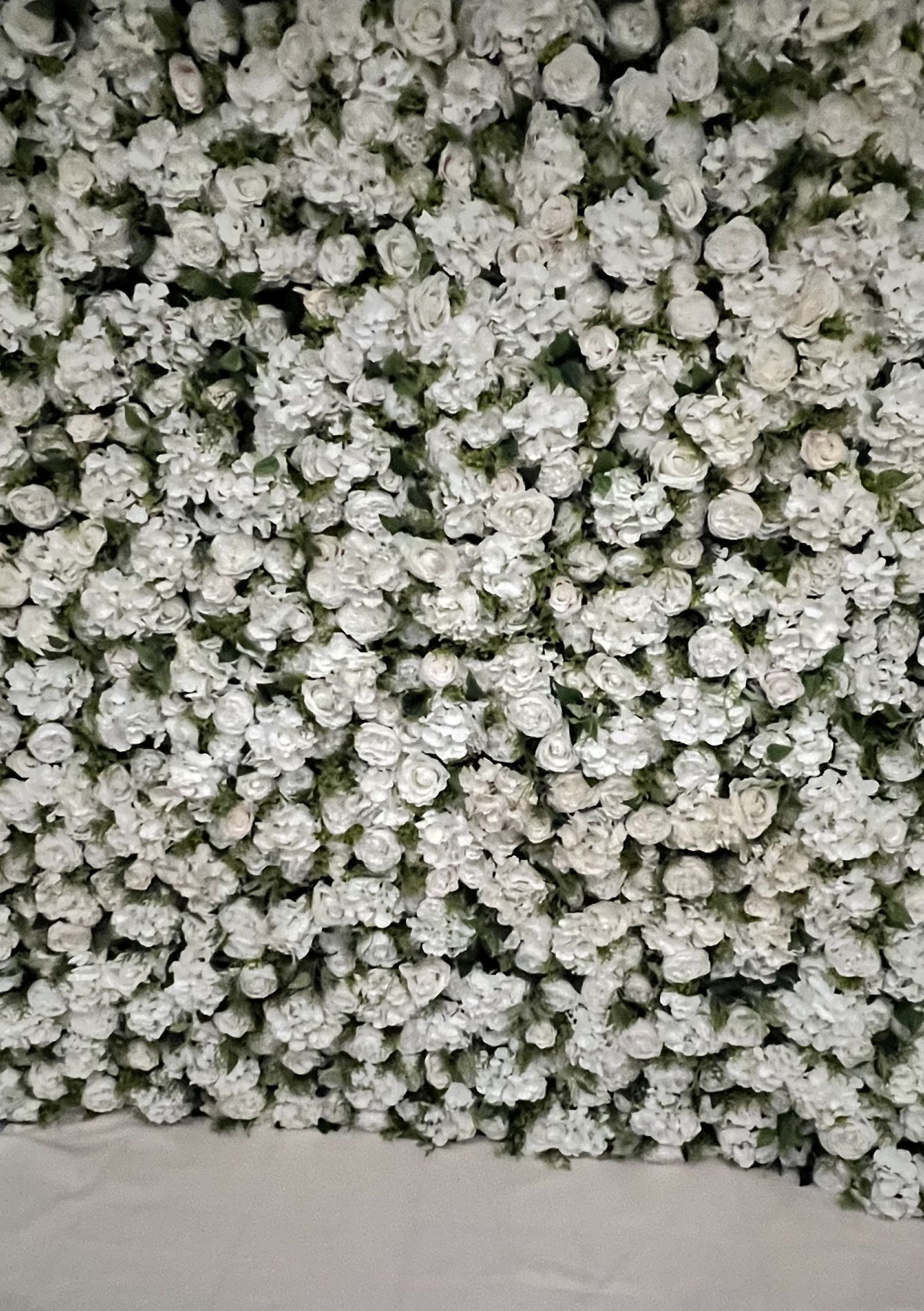 Timeless Rose Wall 4