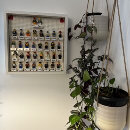 IMG 0795 260x260