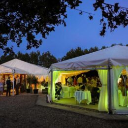 Hungarian Hall Estate wedding
