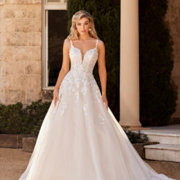 Arlo Y3115 Sophia Tolli Ft 260x260
