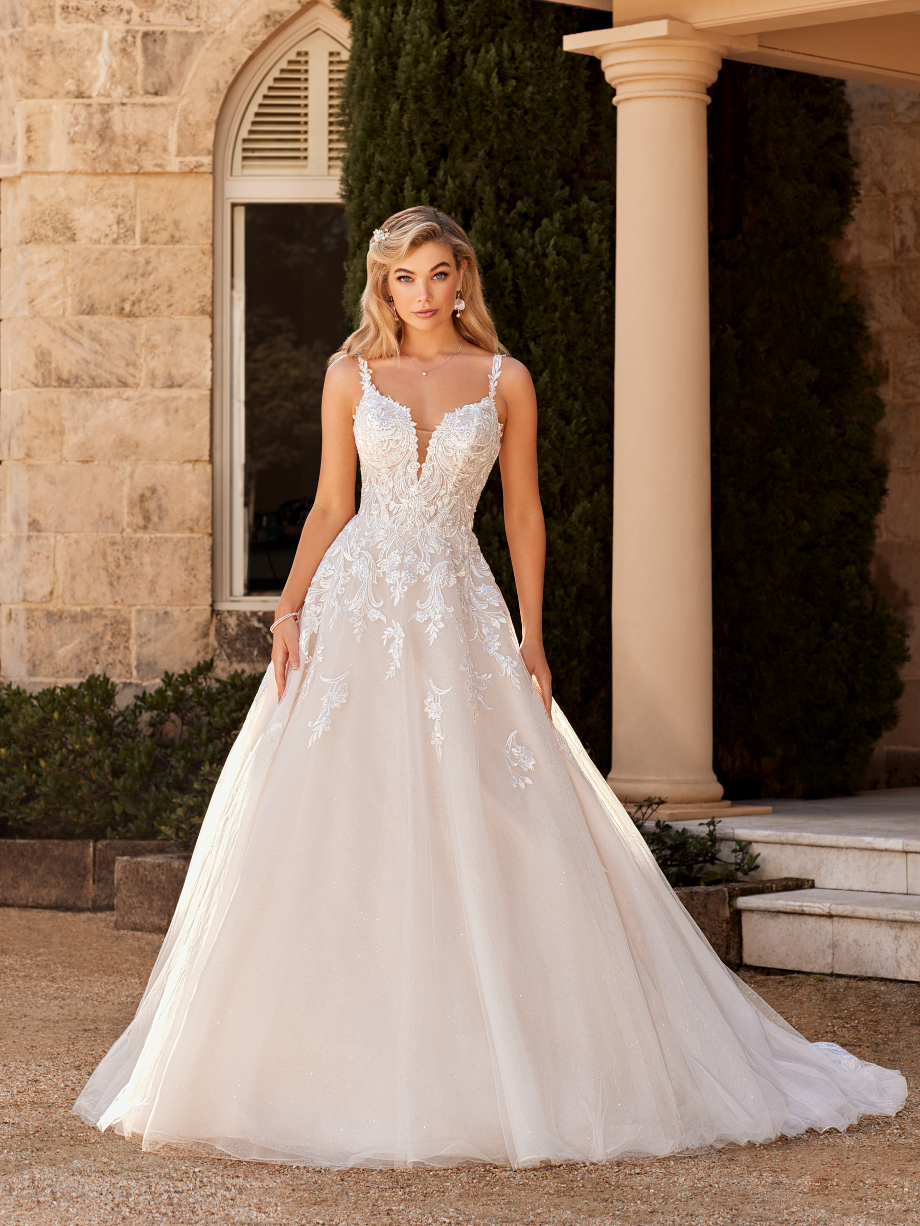 Arlo Y3115 Sophia Tolli Ft
