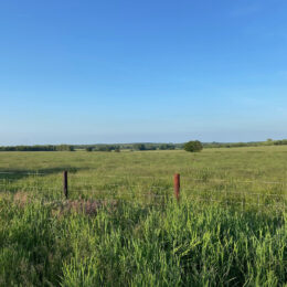 Broadleaves Glamping Countryside Location
