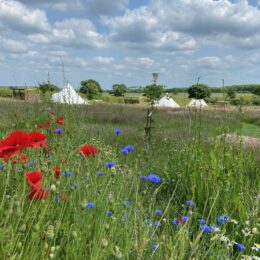 Broadleaves Glamping Weddings