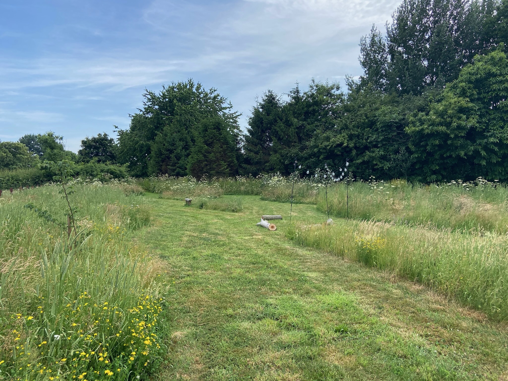 Broadleaves Tipi Meadow