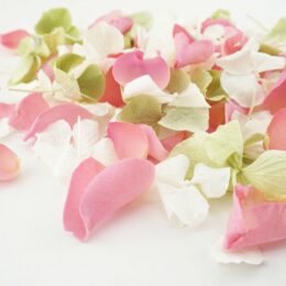 Eco friendly dried petal confetti Eco friendly dried petal confetti