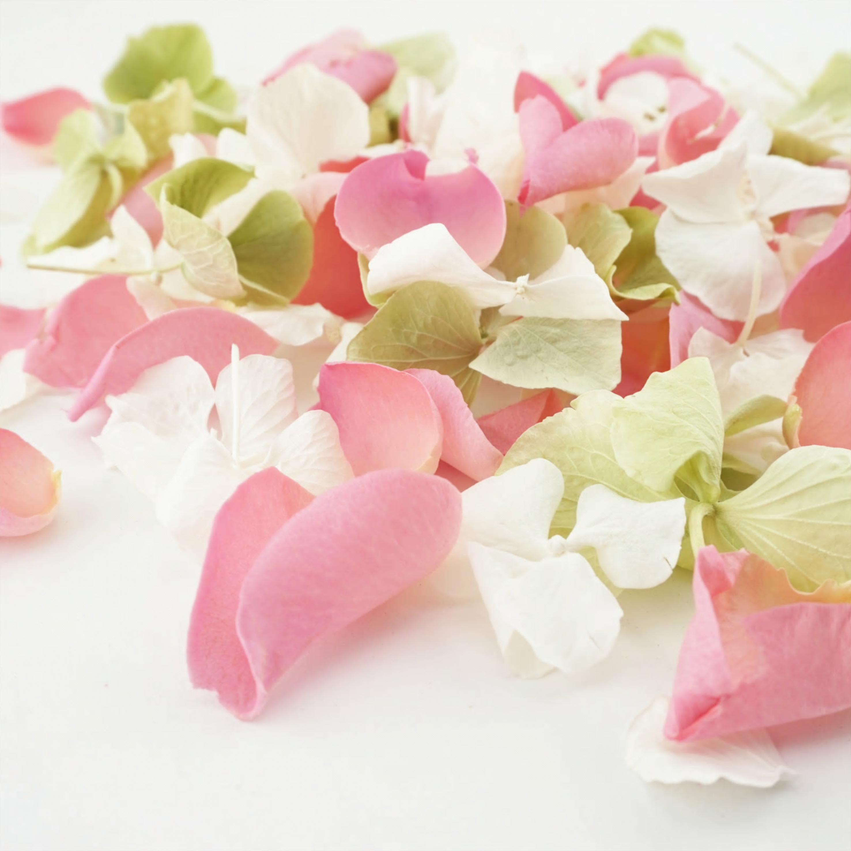 Eco friendly dried petal confetti Eco friendly dried petal confetti