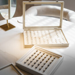 SwissTimepieces Ring Images Lifestyle Unwatermarked 2 260x260
