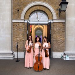 IMG 0701 260x260