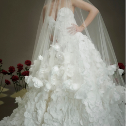 NF114 Veil 260x260