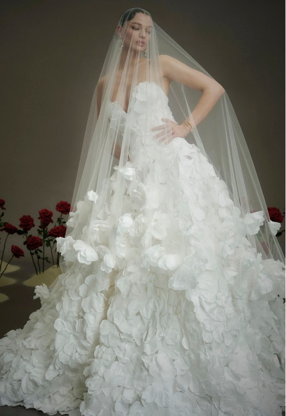 NF114 Veil