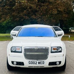 IMG 1501 1095x1400 1 260x260