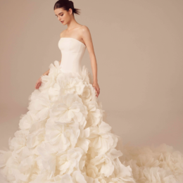 NF 1 260x260