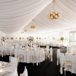 Marquee 260x260