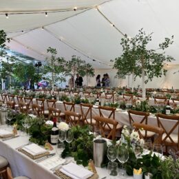 OBG tables 2 with festoon lights and flat ivory lings ad clear roofs over dance floor 260x260