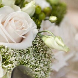 Flowers 260x260